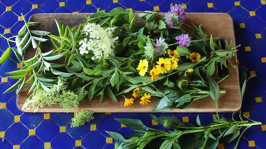 Sacred Garden: Om-Grown Medicinal Herbal Teas