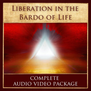 Liberation in the <br> Bardo of Life